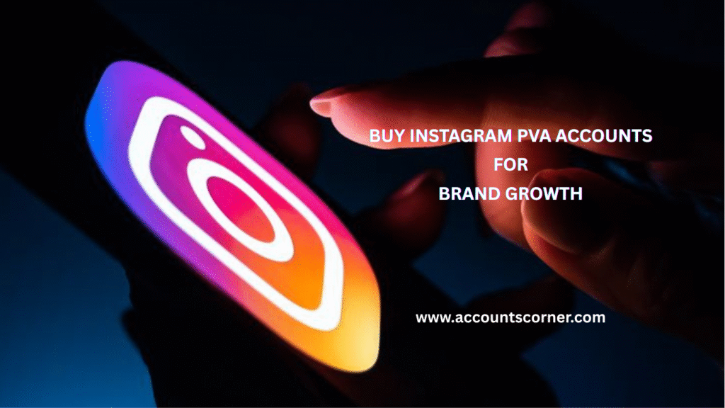 Instagram PVA Accounts