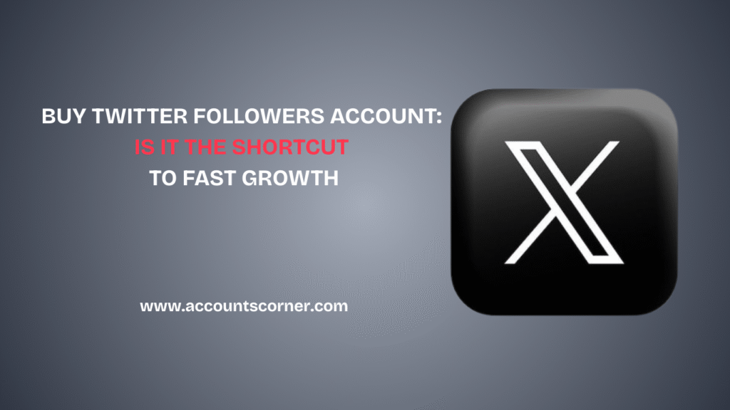 BUY TWITTER FOLLOWERS ACCOUNT