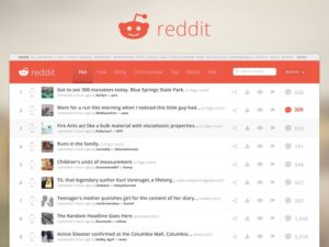 Reddit's Interface